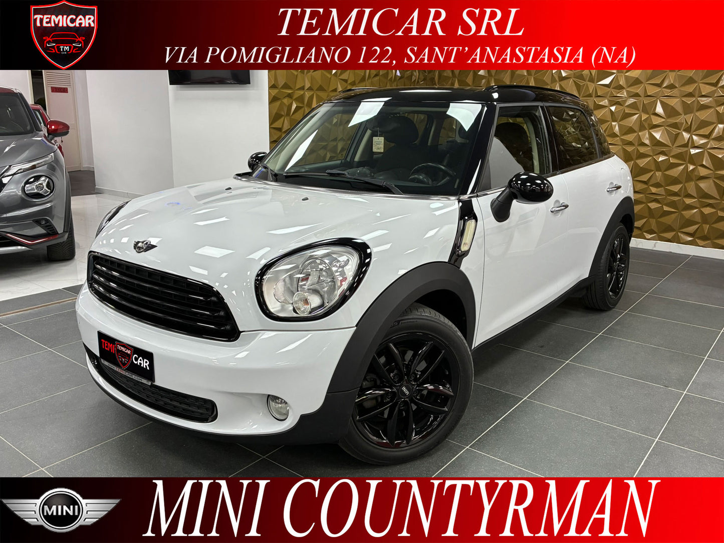 Mini Countryman